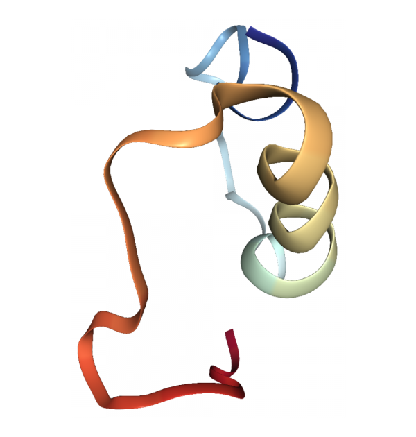 1024- Amyloid β-Peptide 1-40 (human) #2
